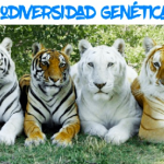 biodivercidad genetica
